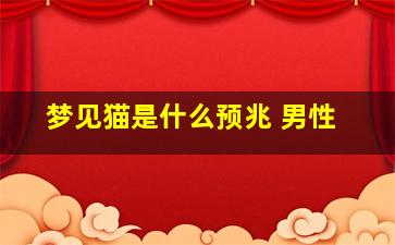 梦见猫是什么预兆 男性